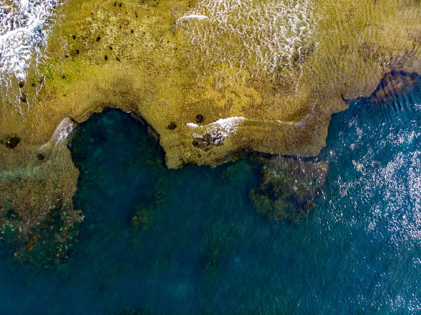 Point Lonsdale Reef